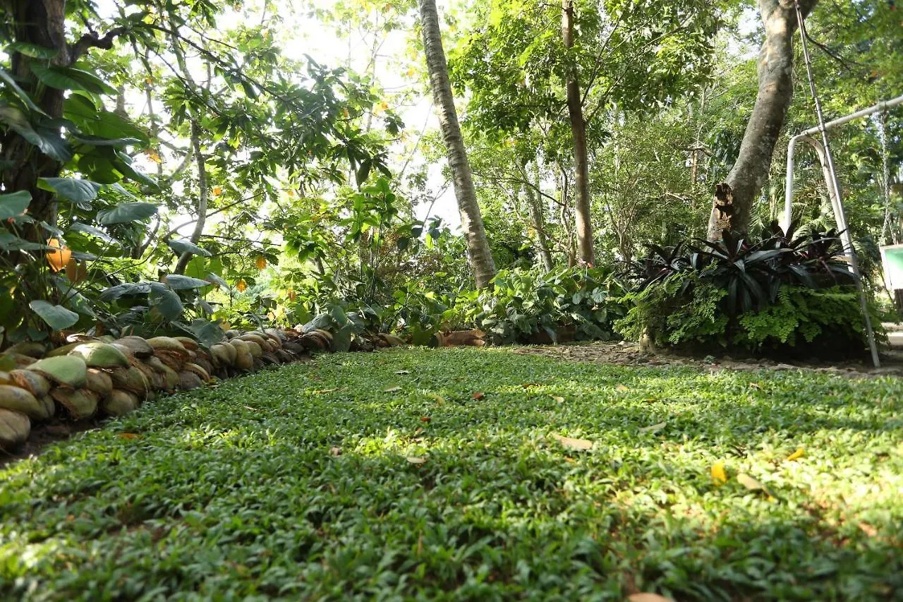 Tree Breeze Inn Kandy